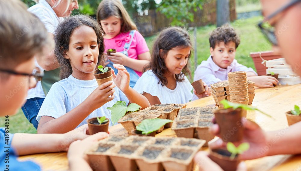 Kinder in der Sommerschule lernen Pflanzen Anzucht