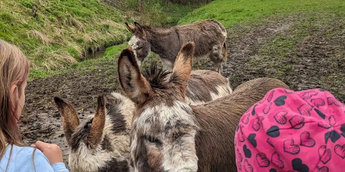 Ausflug zur Eselsmühle in Leinfelden-Echterdingen