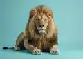 A majestic lion sits on a blue background. The lion is looking at the camera with a serious expression. The lion's mane is blowing in the wind.