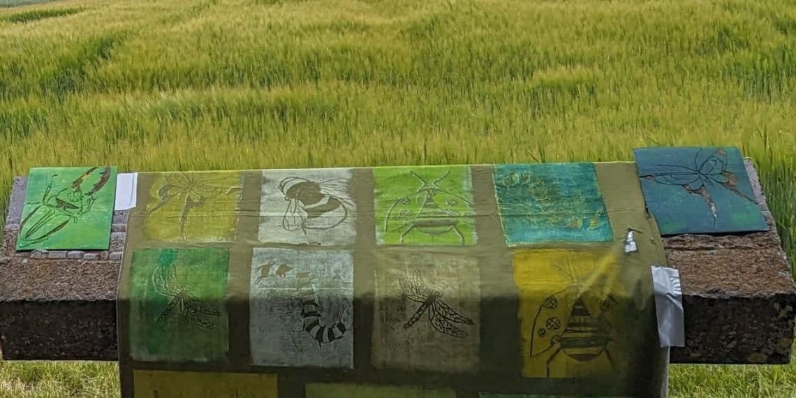 Kultur und Aktion auf dem Birkacher Feld: „Landart“